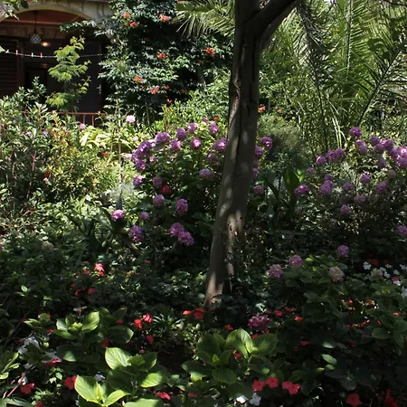 6585a Lejlighed Starigrad Paklenica