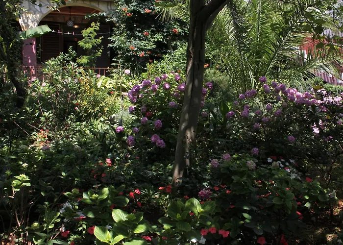 6585a Lejlighed Starigrad Paklenica