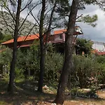 6585a *